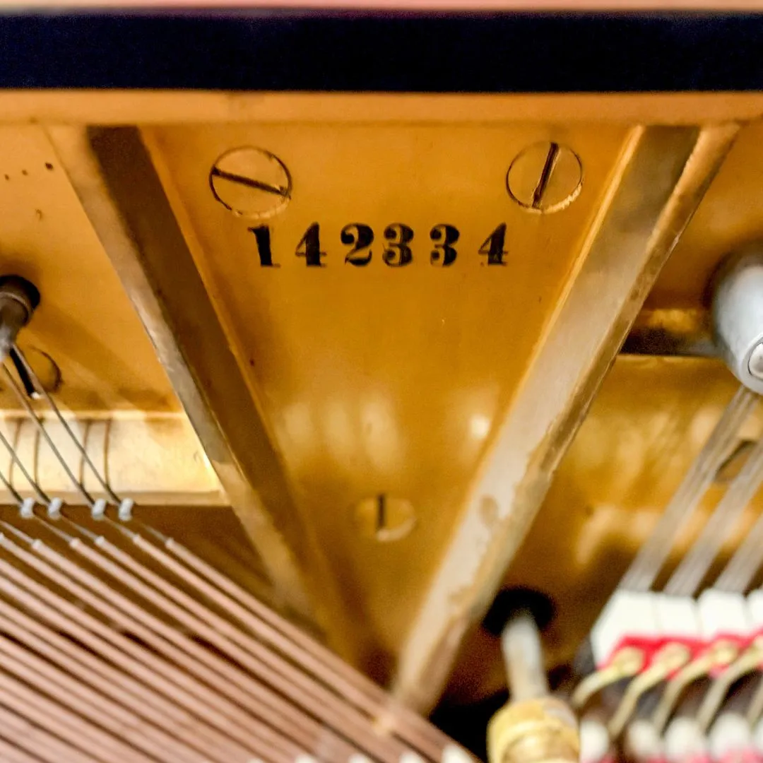 The gold Steinway plate stamped with serial number 142334
